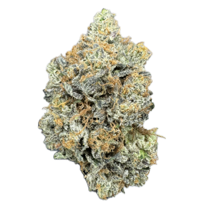 Purple Master Kush