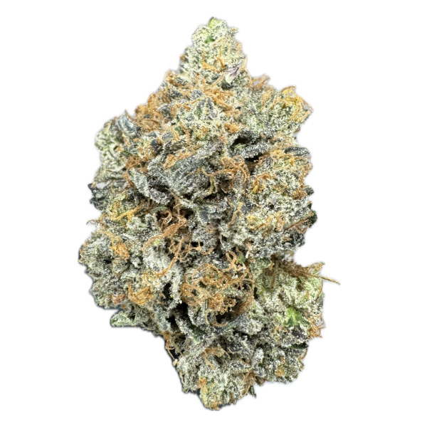 Purple Master Kush