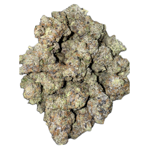 Ultra Pink - Image 2